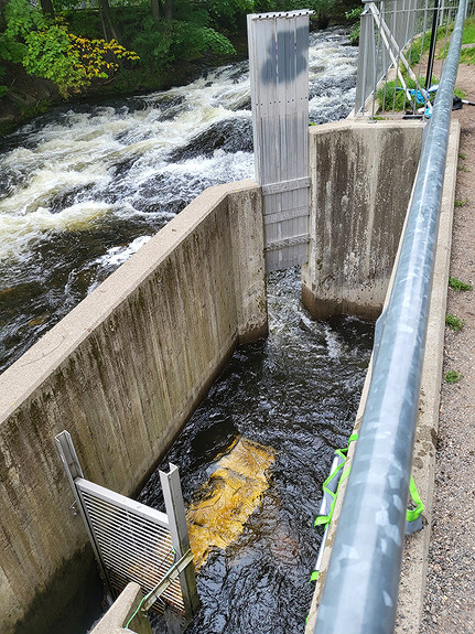 Fisketeller i Akerselva