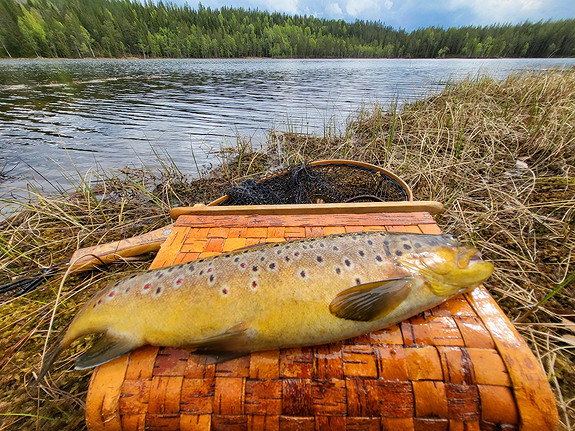 Informasjon og inspirasjon om fiske er viktig