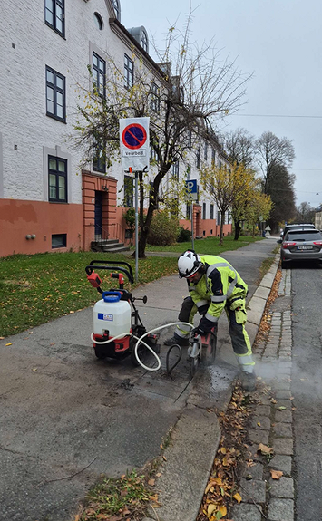 Bilde 6 av 6 i jobbannonse-galleriet