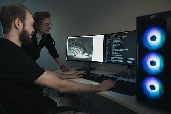 Bilde 1 av 17 i jobbannonse-galleriet