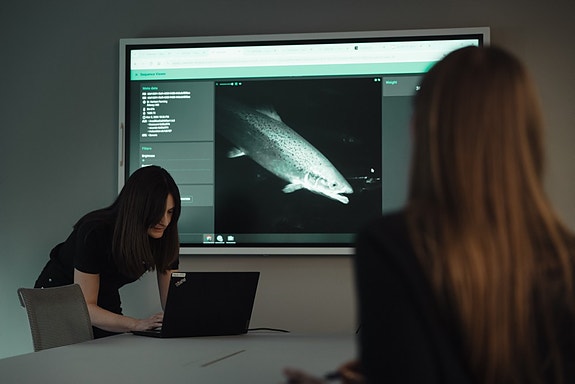 Bilde 4 av 17 i jobbannonse-galleriet