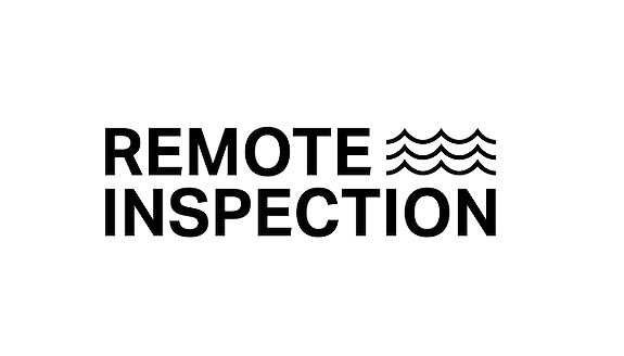 Remote Inspection AS logo