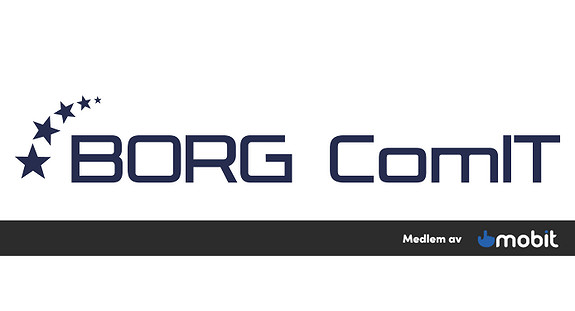 Borg ComIT logo