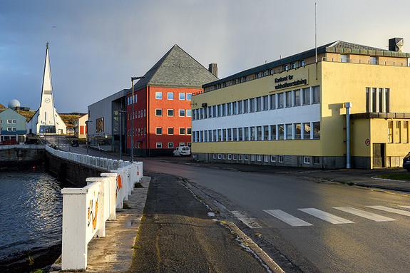 Bilde 1 av 1 i jobbannonse-galleriet