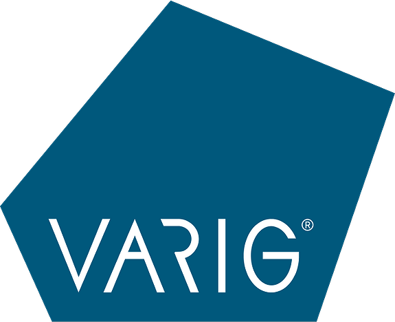 VARIG logo