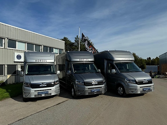 MAN TGE Roelofsen C1 Hestebil 2024