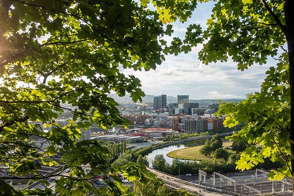 Bedriftens profilbilde