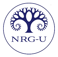 NRG-U, Norges Realfagsungdomsskole Sandvika AS logo