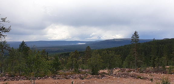 Bilde fra aktuell tomt
