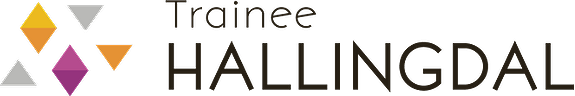 Bedrifter i Hallingdal logo