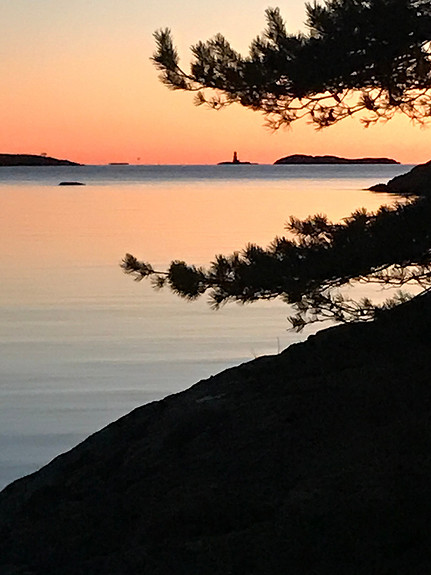 Sjarmerende sørlandsperle på sydspissen av Borøy med panoramautsikt.