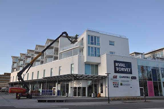 Bilde 3 av 9 i jobbannonse-galleriet