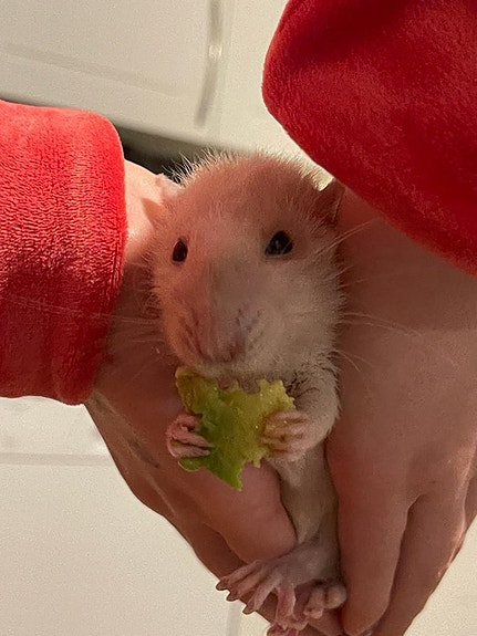 Product image 1 of 8