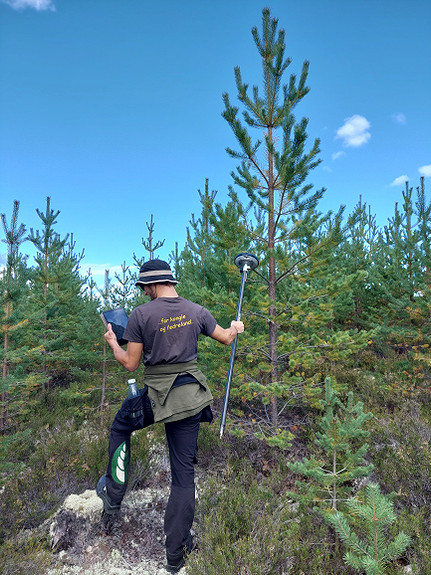 Geoposisjonering av mulige avlstrær i forsøksfelt