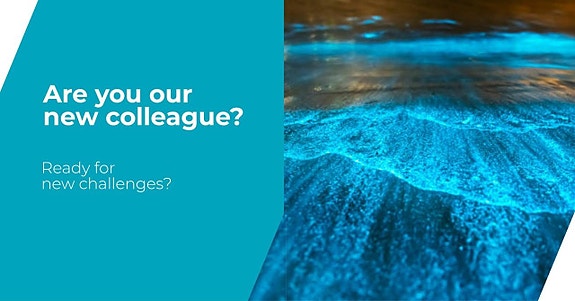 Bilde 2 av 5 i jobbannonse-galleriet