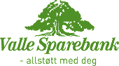 Valle Sparebank logo