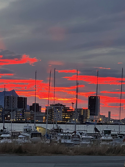 Utsikt over Rønvik småbåthavn fra Arnulf Hansen i Bodø