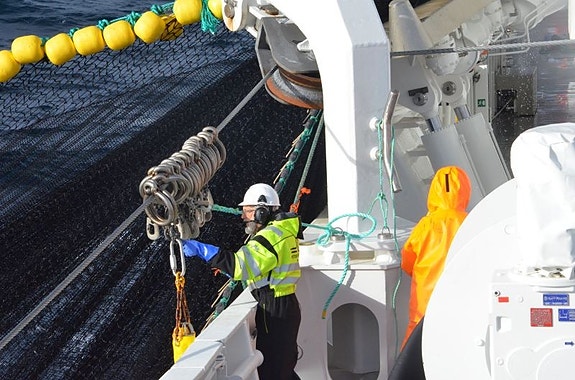 Bilde 4 av 5 i jobbannonse-galleriet