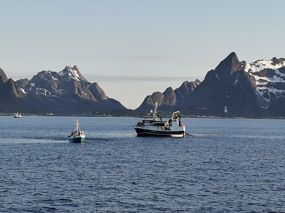 Bilde 5 av 5 i jobbannonse-galleriet