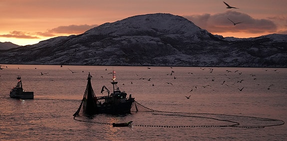 Bilde 1 av 5 i jobbannonse-galleriet