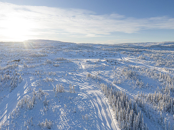 https://images.finncdn.no/dynamic/default/2024/2/vertical-2/05/6/338/626/256_1232908712.jpg