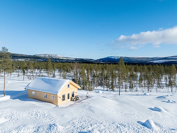 Velkommen til Bjønnbekkmora 154! INGEN hytter som kommer foran - urørt natur. Stort tomt