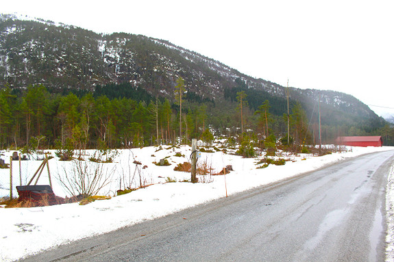 Tomteområde i retning sørvest