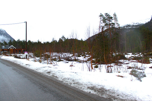 Tomteområde med opent og fritt landskap. Her er det god plass rundt deg.