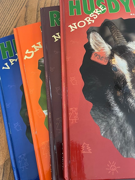 Product image 8 of 10