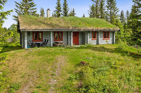 Koselig hytte på Gåsbu - nær Hamar - 3 soverom + hems.