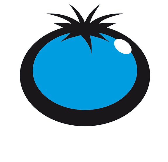 Blue Tomato Norway As