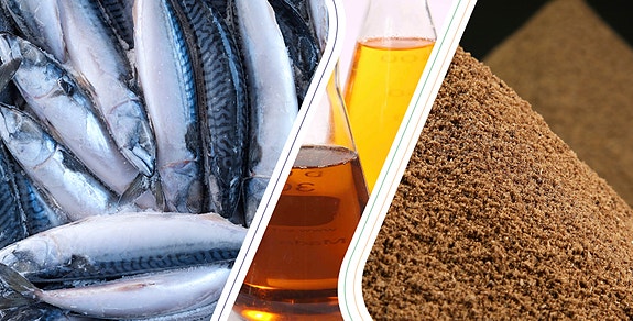 Bedriftens profilbilde