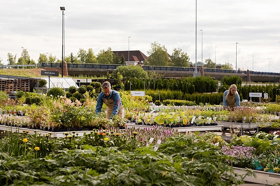 Bedriftens profilbilde