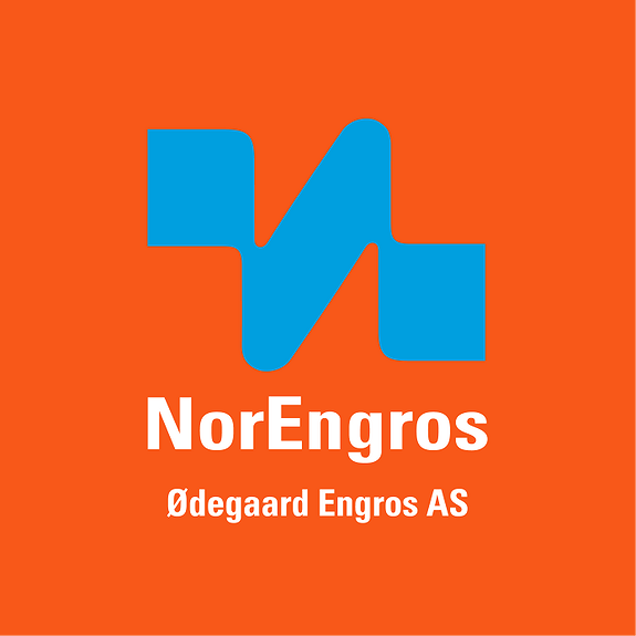 Ødegaard Engros AS