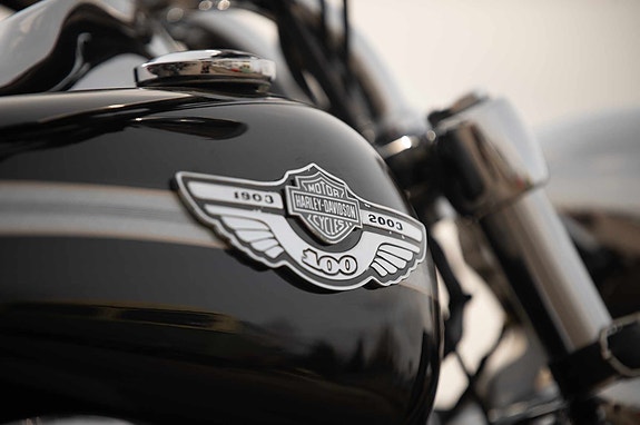 Harley-Davidson Softail Deuce FXSTDI 8 of 22