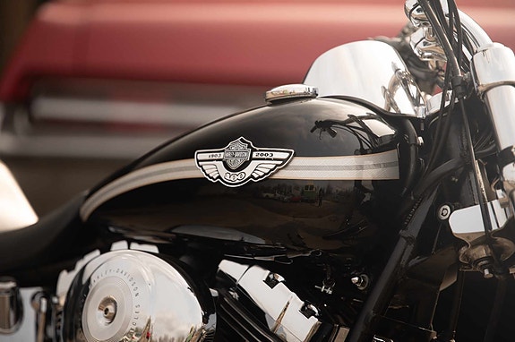 Harley-Davidson Softail Deuce FXSTDI 12 of 22