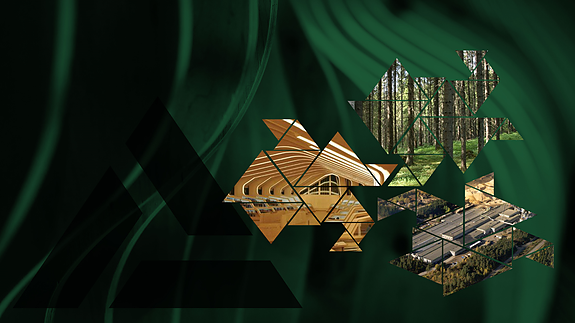 Visjonen vår er å gi verden innovative og bærekraftige byggeløsninger i tre