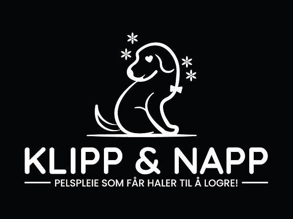 KLIPP & NAPP AS