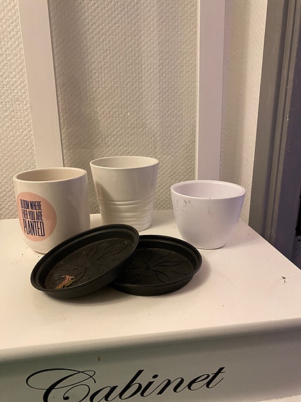 Product image 1 of 10