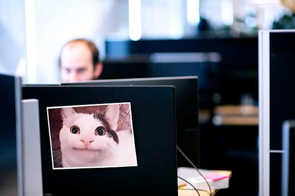 God stemning på teamet til utvikling.