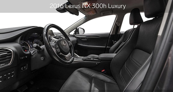 Lexus NX300h 24 of 25