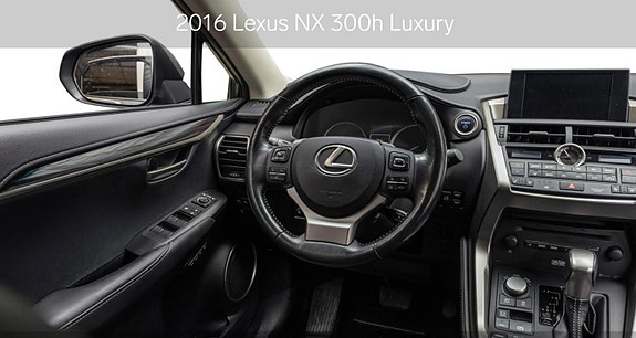 Lexus NX300h 13 of 25