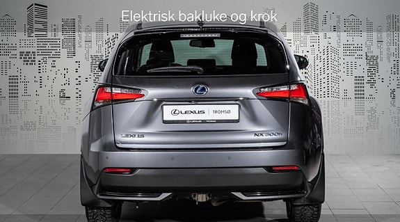 Lexus NX300h 8 of 25