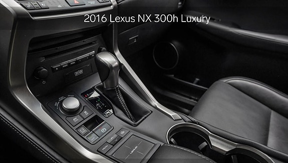 Lexus NX300h 18 of 25