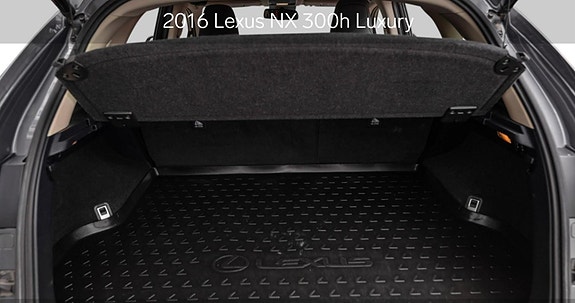 Lexus NX300h 10 of 25