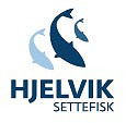 Hjelvik Settefisk A/S