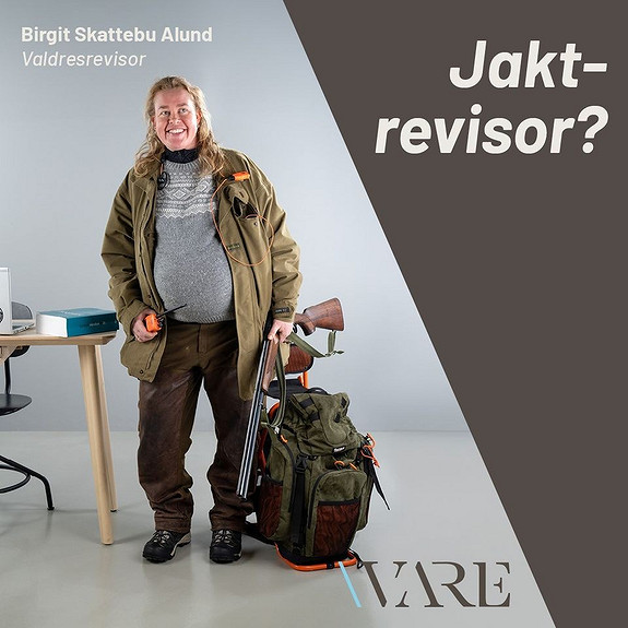 Jakt-revisor