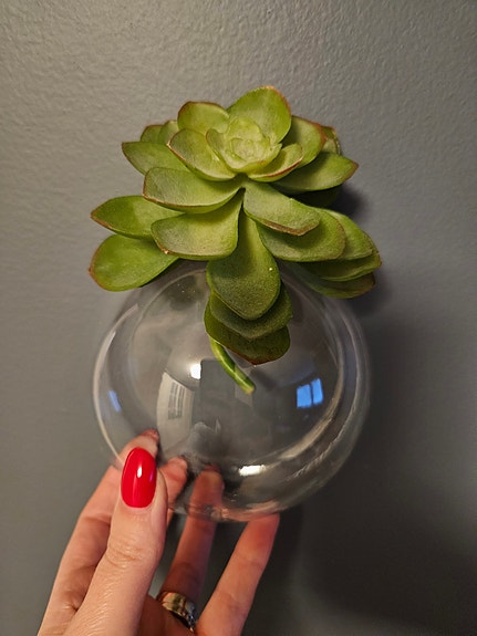 Product image 1 of 8
