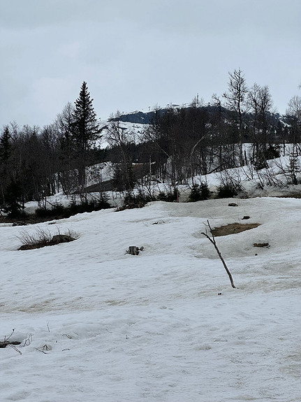 Utsikt fra tomten mot Skeikampen.