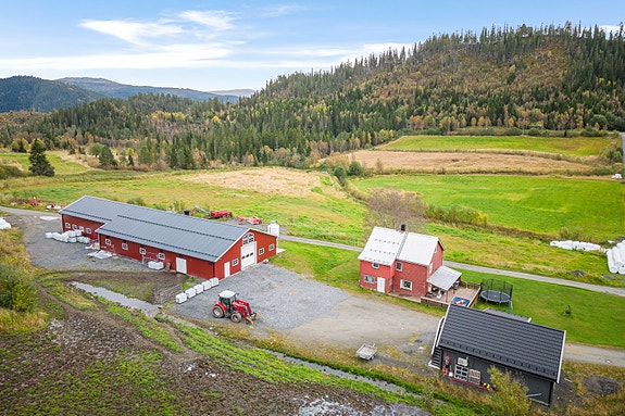 Velkommen til Nordli gård i Busetmarka